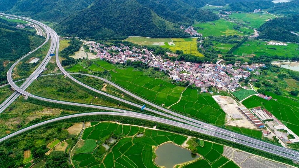 公司中标首个国家储备林建设项目(图1)