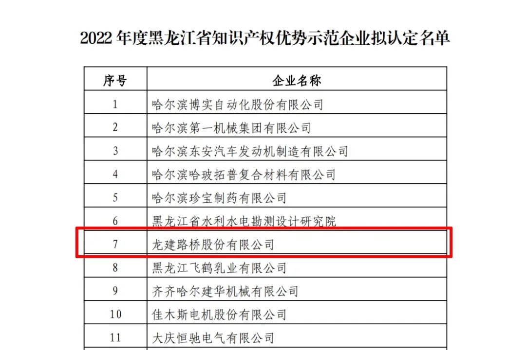 公司获评2022年度黑龙江省知识产权优势示范企业(图2)