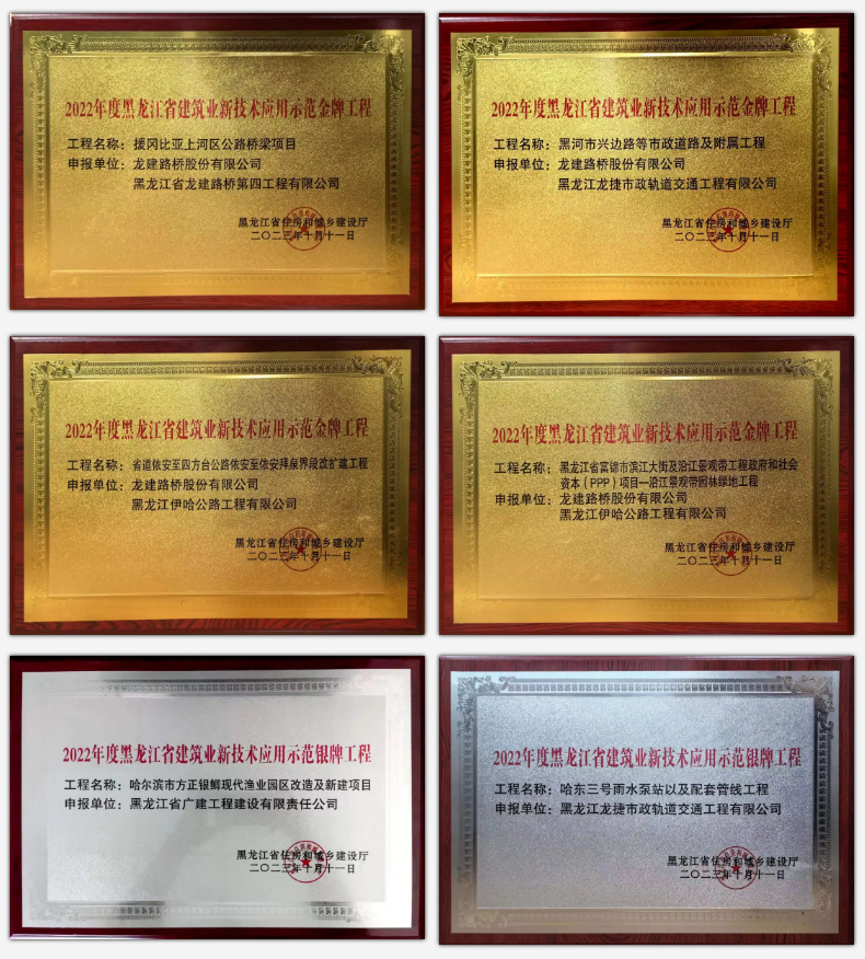 牢记嘱托 感恩奋进 | 公司荣获2022年度省建筑业新技术应用示范工程14项大奖(图2)